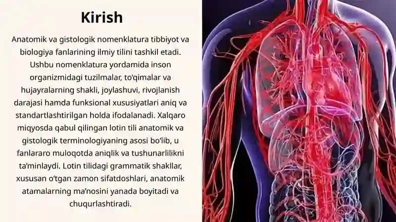 ANATOMIK VA GISTOLOGIK NOMENKLATURA 2