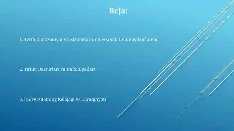 Termix Iqtisodiyot va Xizmatlar Universiteti 2