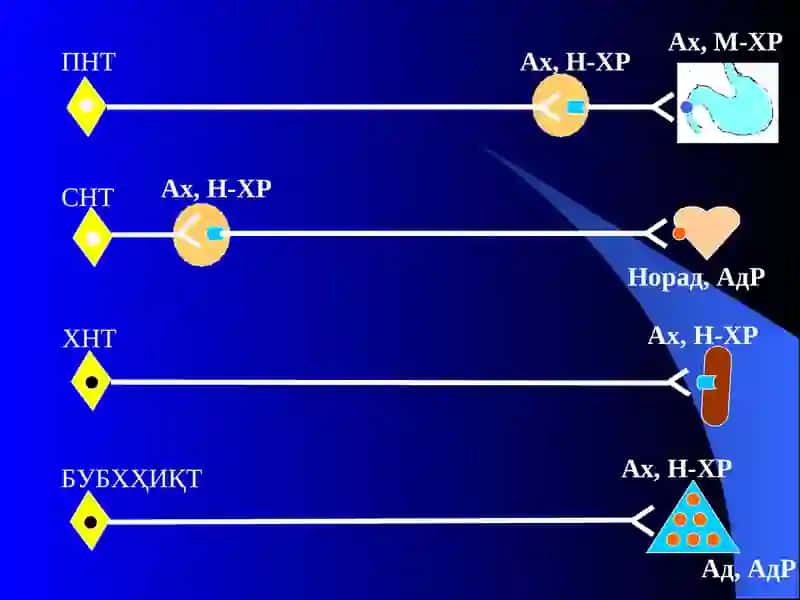 Адреномиметиклар. Симпатомиметиклар 2