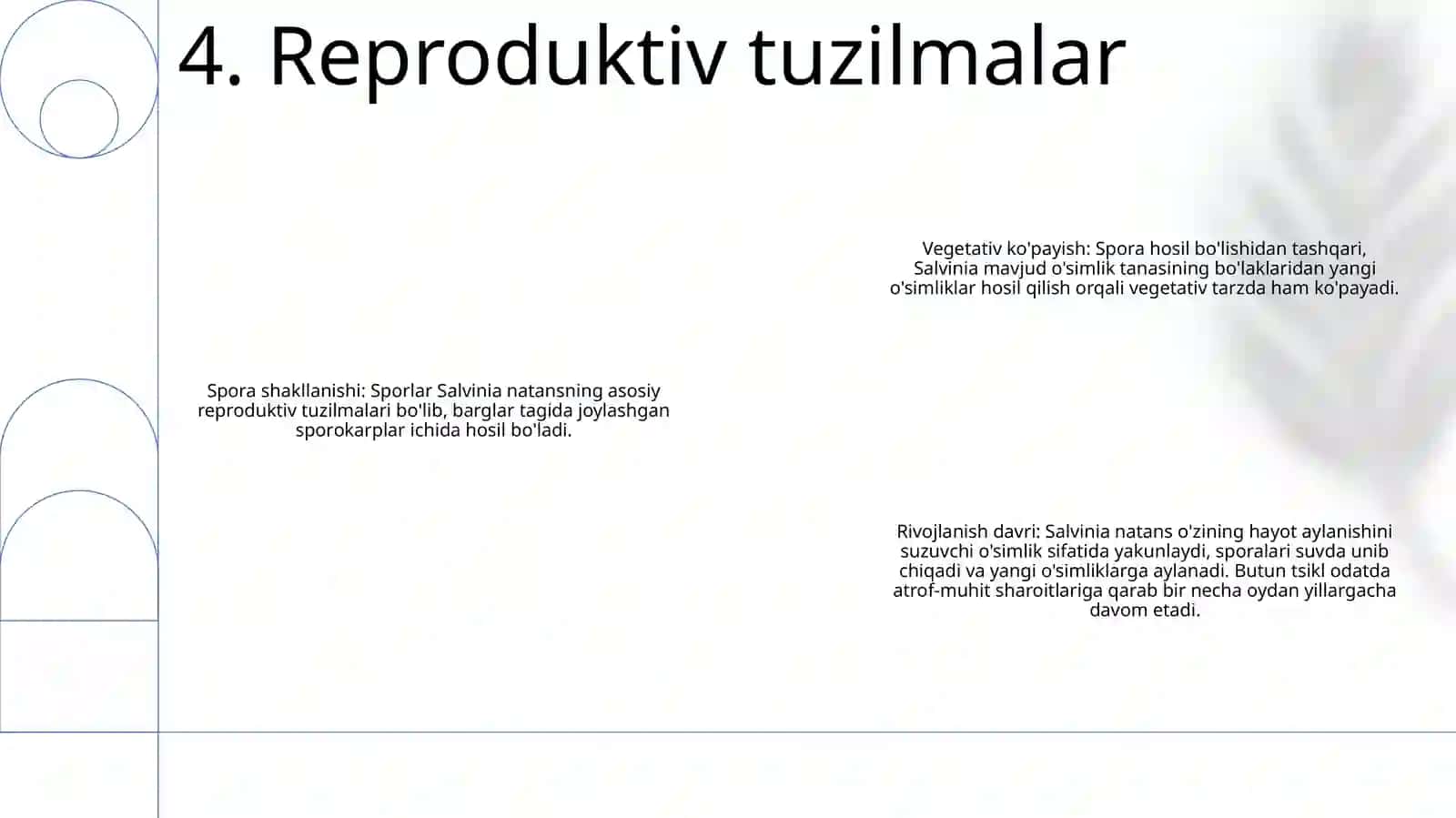 Morfologik xususiyatlari 2