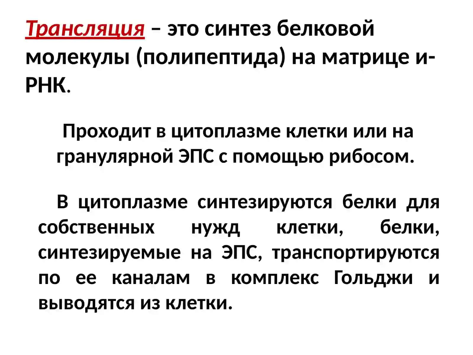 Трансляция 2