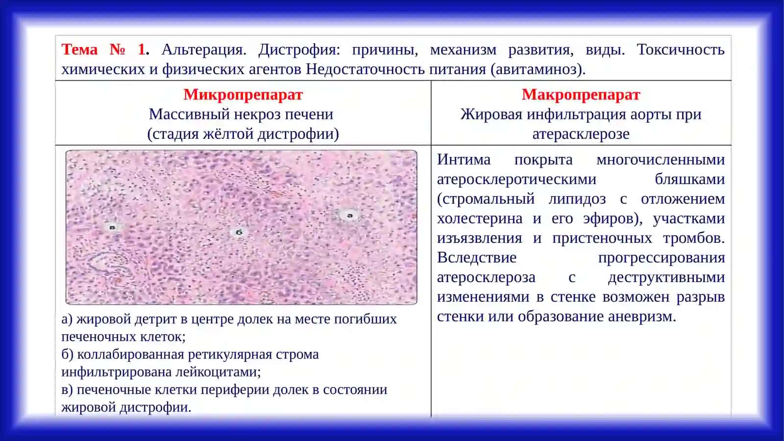 Микропрепарат 2
