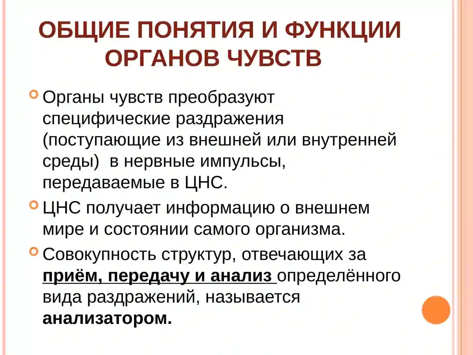 ОРГАН ЗРЕНИЯ 2
