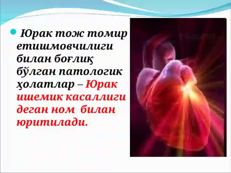Тож Томирларнинг Етишмовчилиги 2