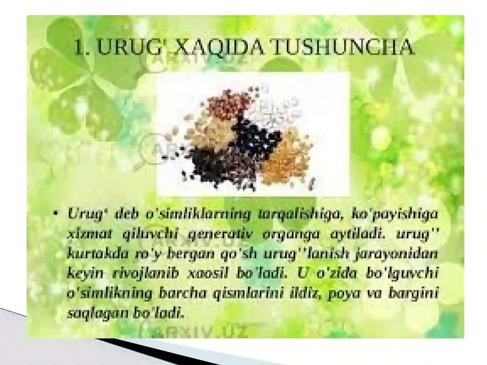 Urug’ningtuzilishi 2