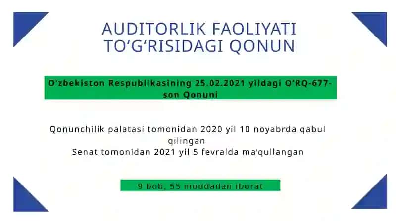 AUDITORLIK FAOLIYATI 2