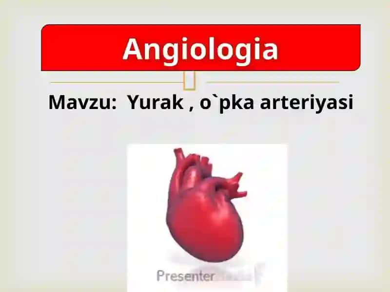 qon tomirlar tizimi 2