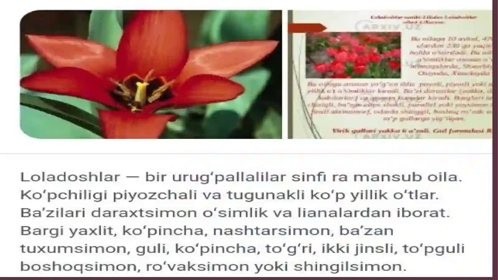 Botanika fanidan taqdimot 2