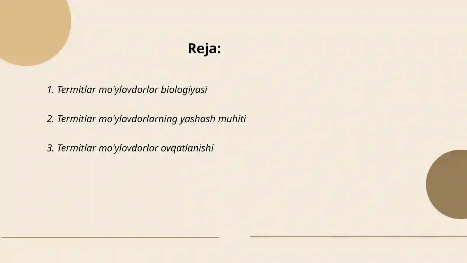 Termitlar mo'ylovdorlar 2
