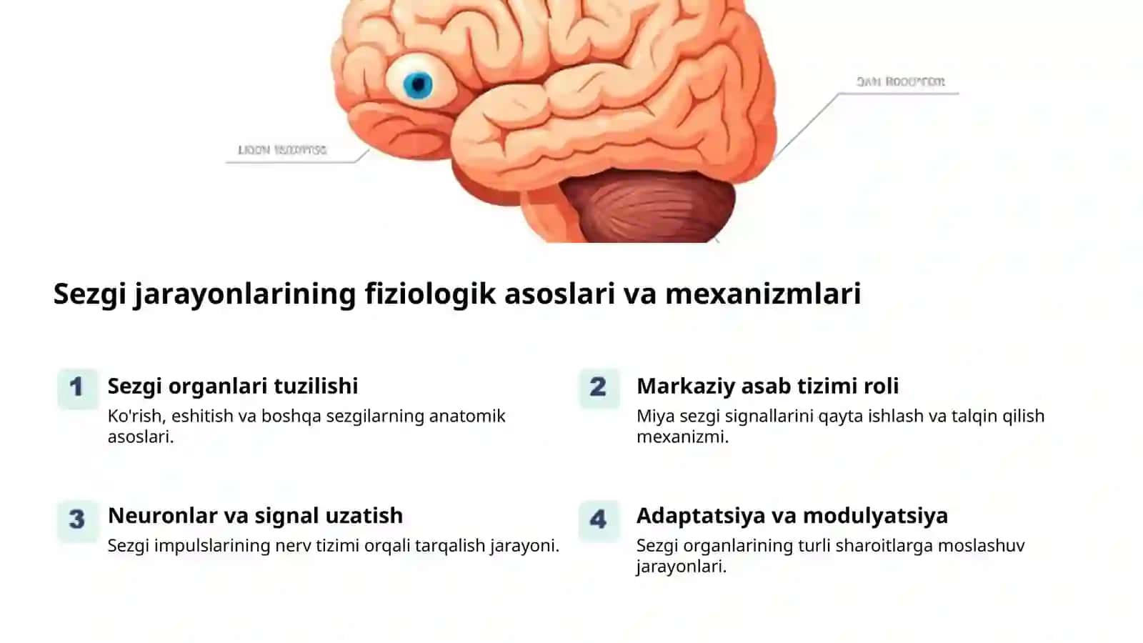 Sezgi psixologiyasi: hissiy dunyo 2