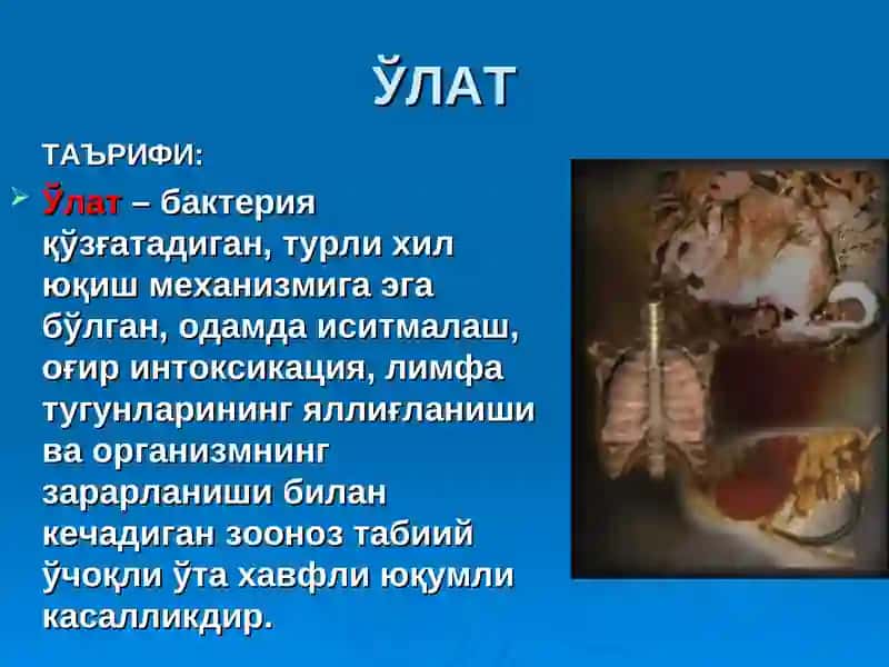 ЎЛАТпрезентация врачлар учун 2