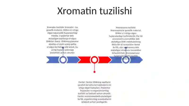 Xromatin tuzilishi 2