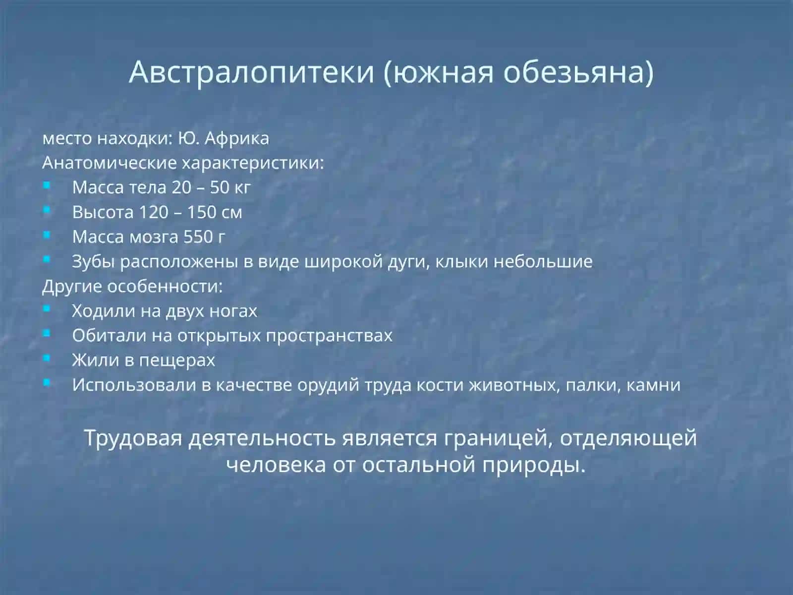 Антропогенез 2