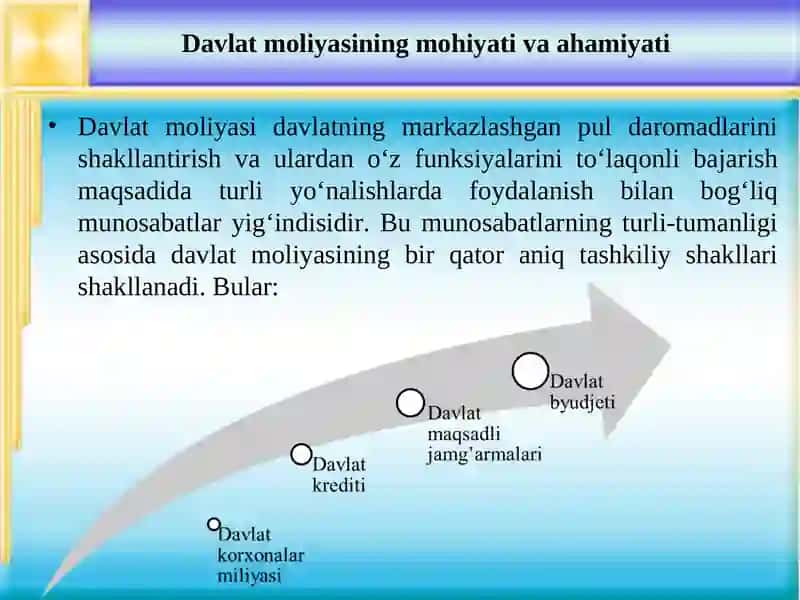 Davlat Moliyasining Mohiyati va Ahamiyati 2