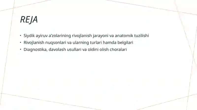 Siydik ayiruv a’zolarining rivojlanish nuqsonlari 2