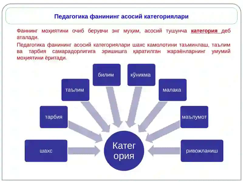 Педагогика фани предмети ва вазифалари 2