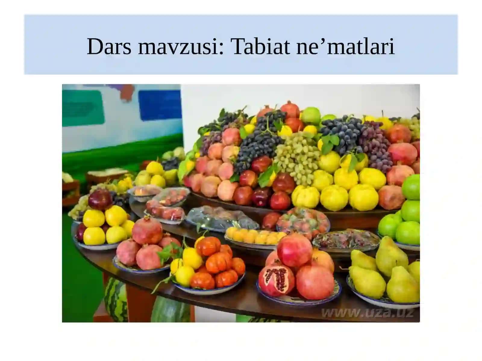 Tabiat ne'matlari 2