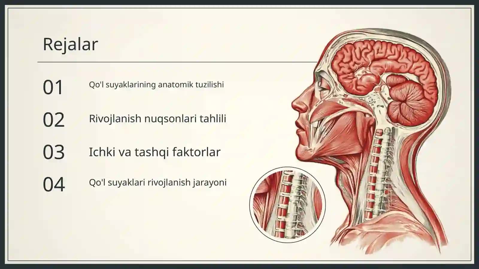 Qo'l suyaklari variantli anatomiyasi 2