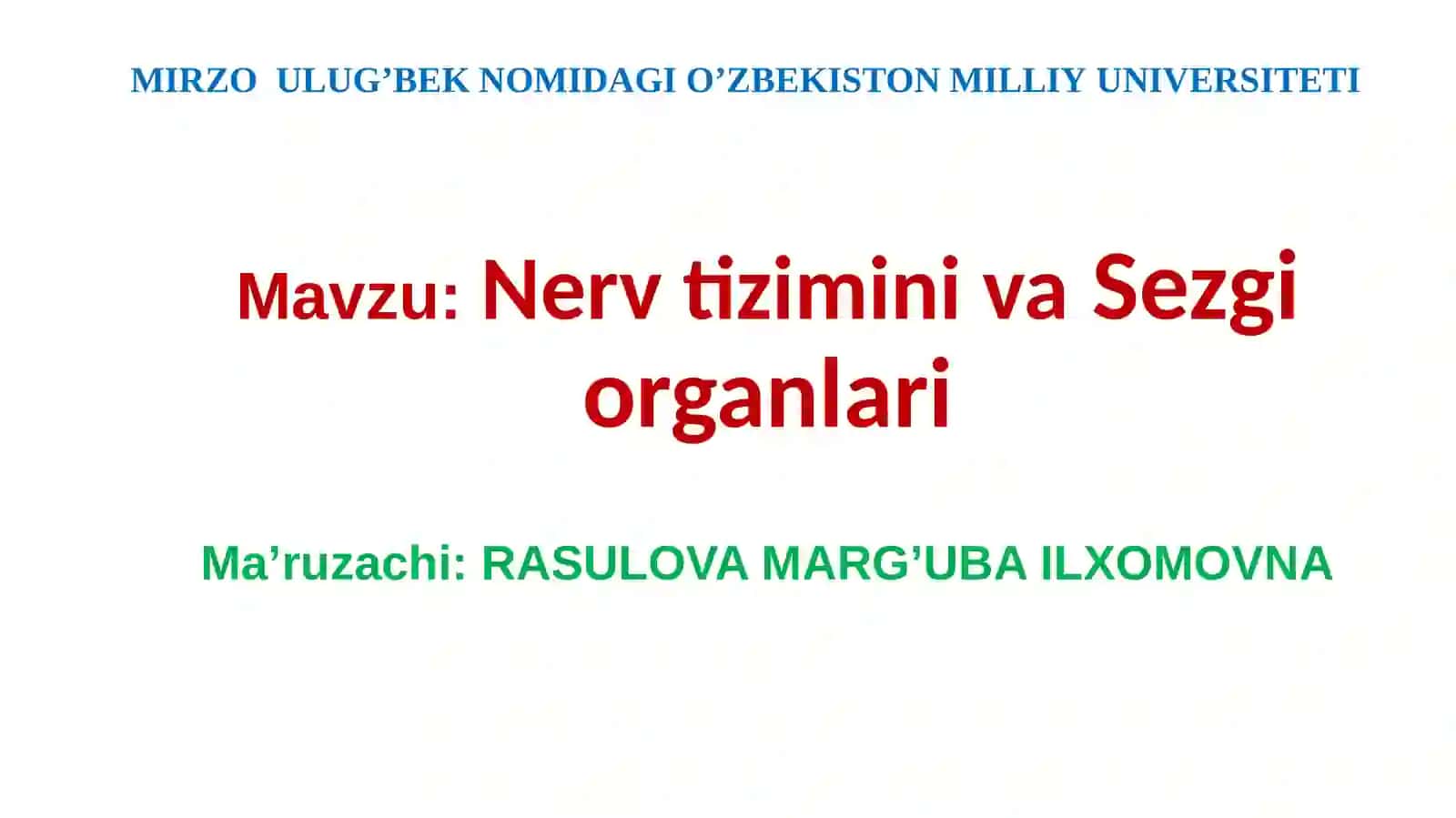 Nerv tizimi va sezgi organlari 2