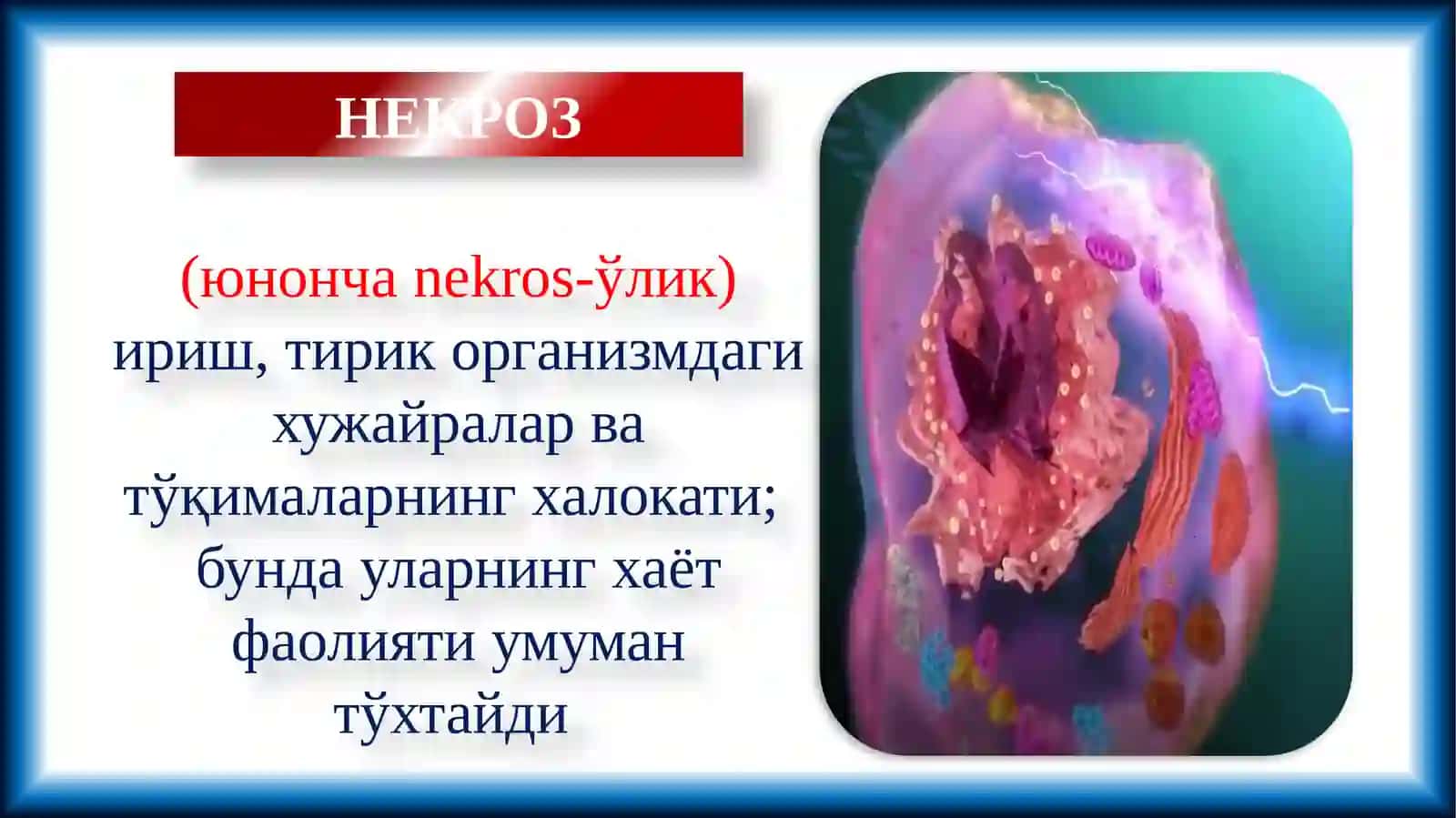 НЕКРОЗ 2