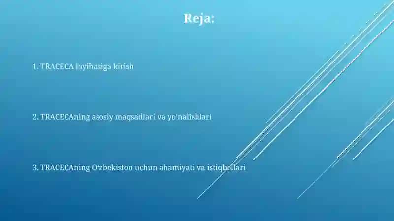 TRASEKA loyihasi 2