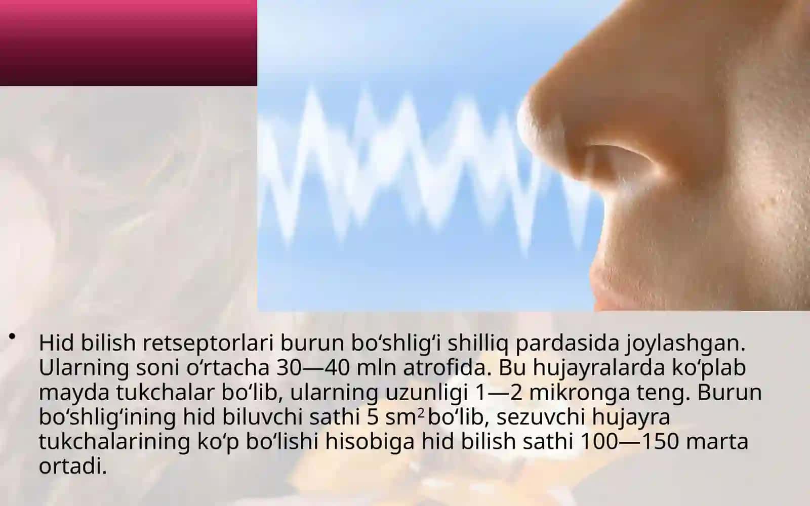 Hid va ta’m bilish organlari 2