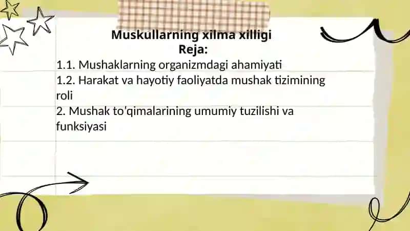 Muskullarning xilma xilligi 2