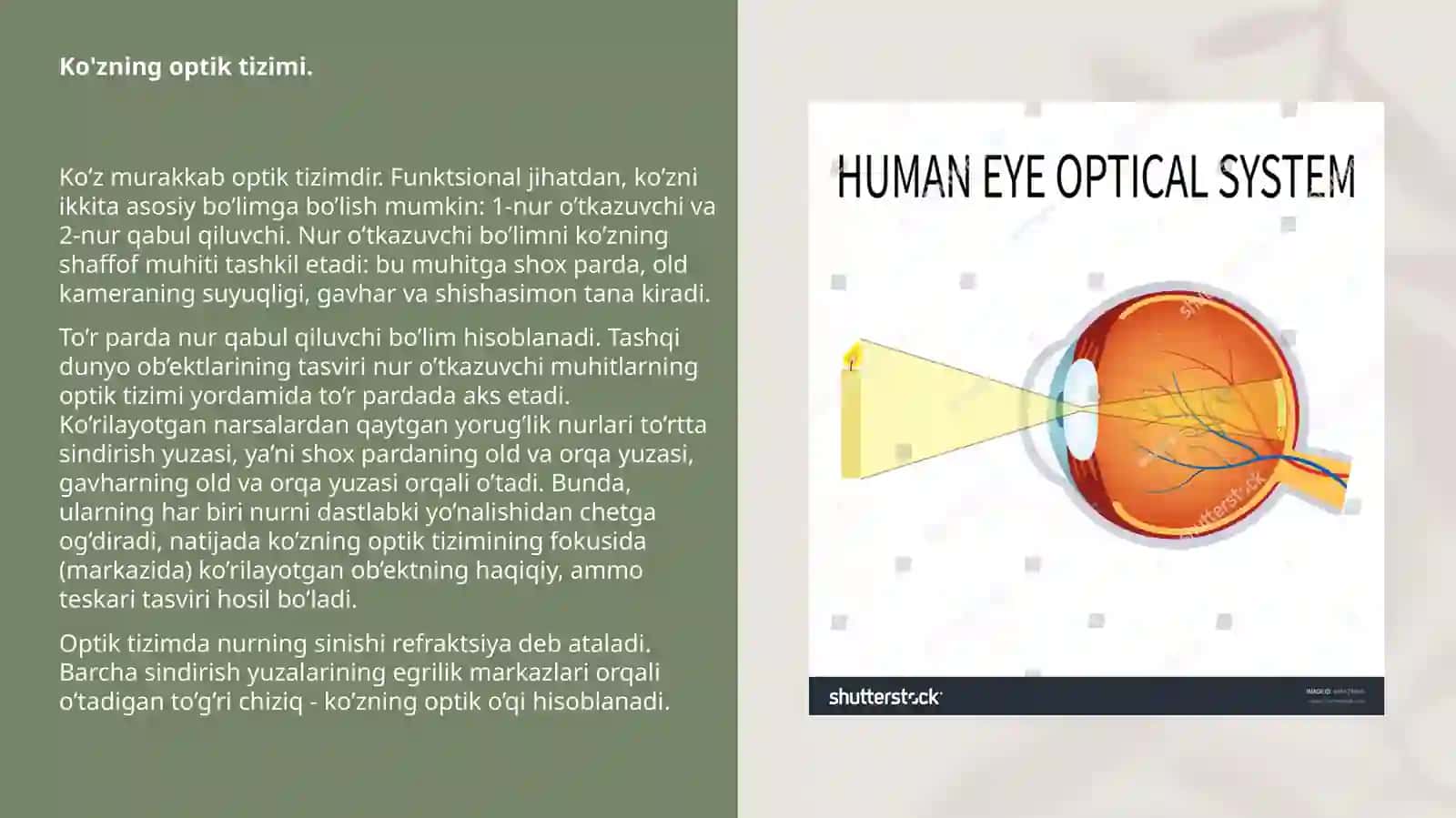 Klinik va fizik refraktsiya. Akkomodatsiya 2