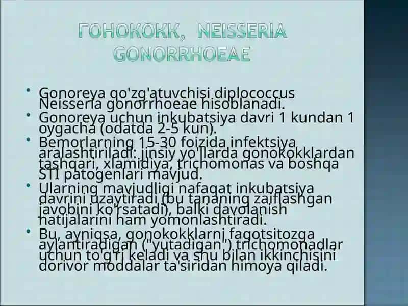 Gonoreya qo'zg'atuvchisi diplococcus Neisseria gonorrhoeae 2