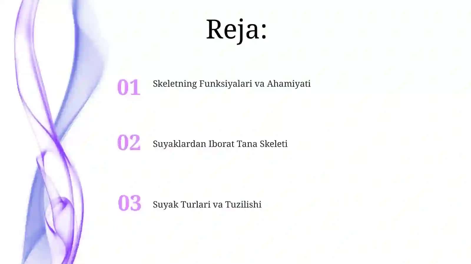 Gavda skeletini tashkil etuvchi suyaklar 2
