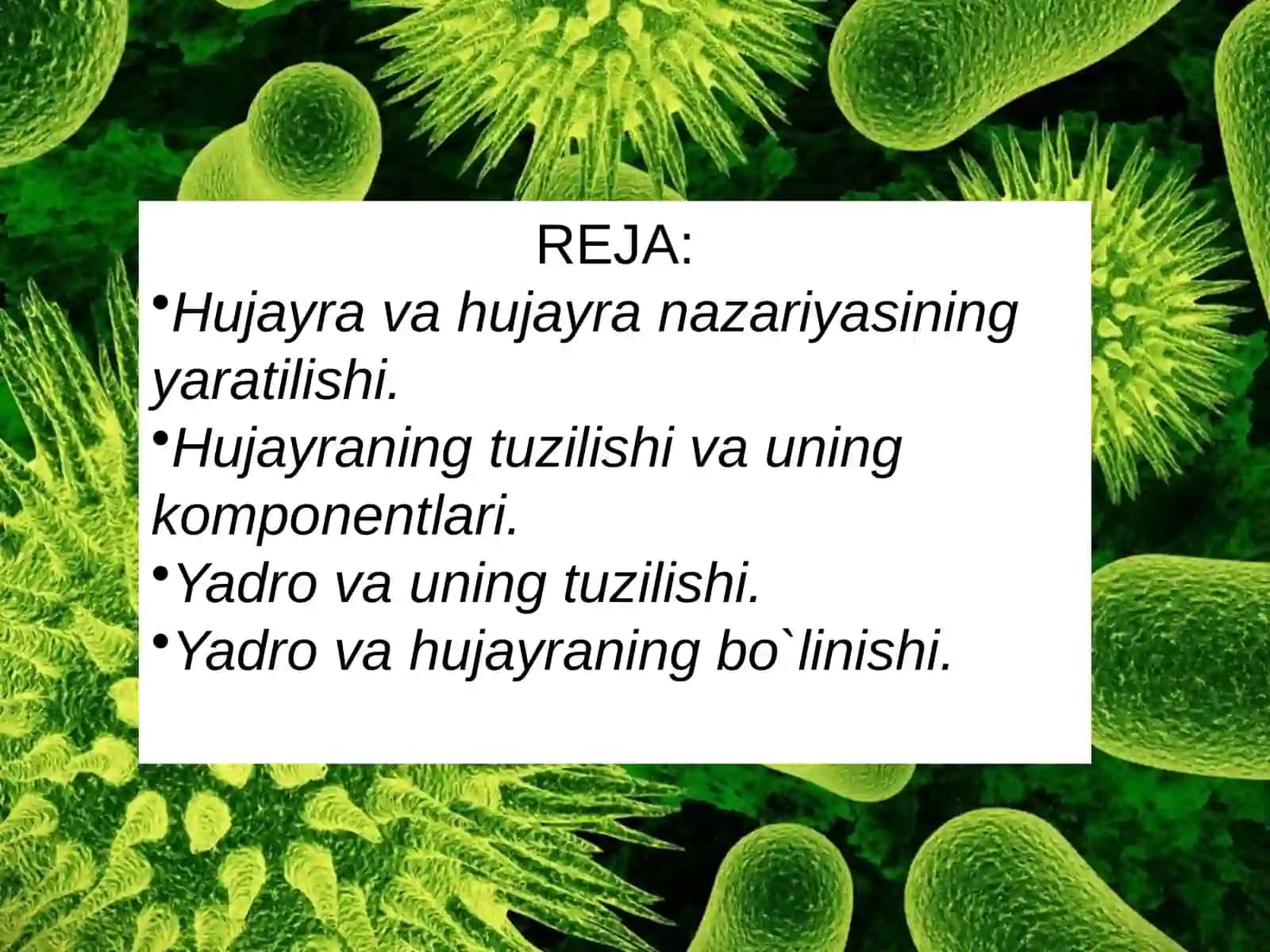 O’simlik hujayrasining tuzilishi va funksiyalari 2