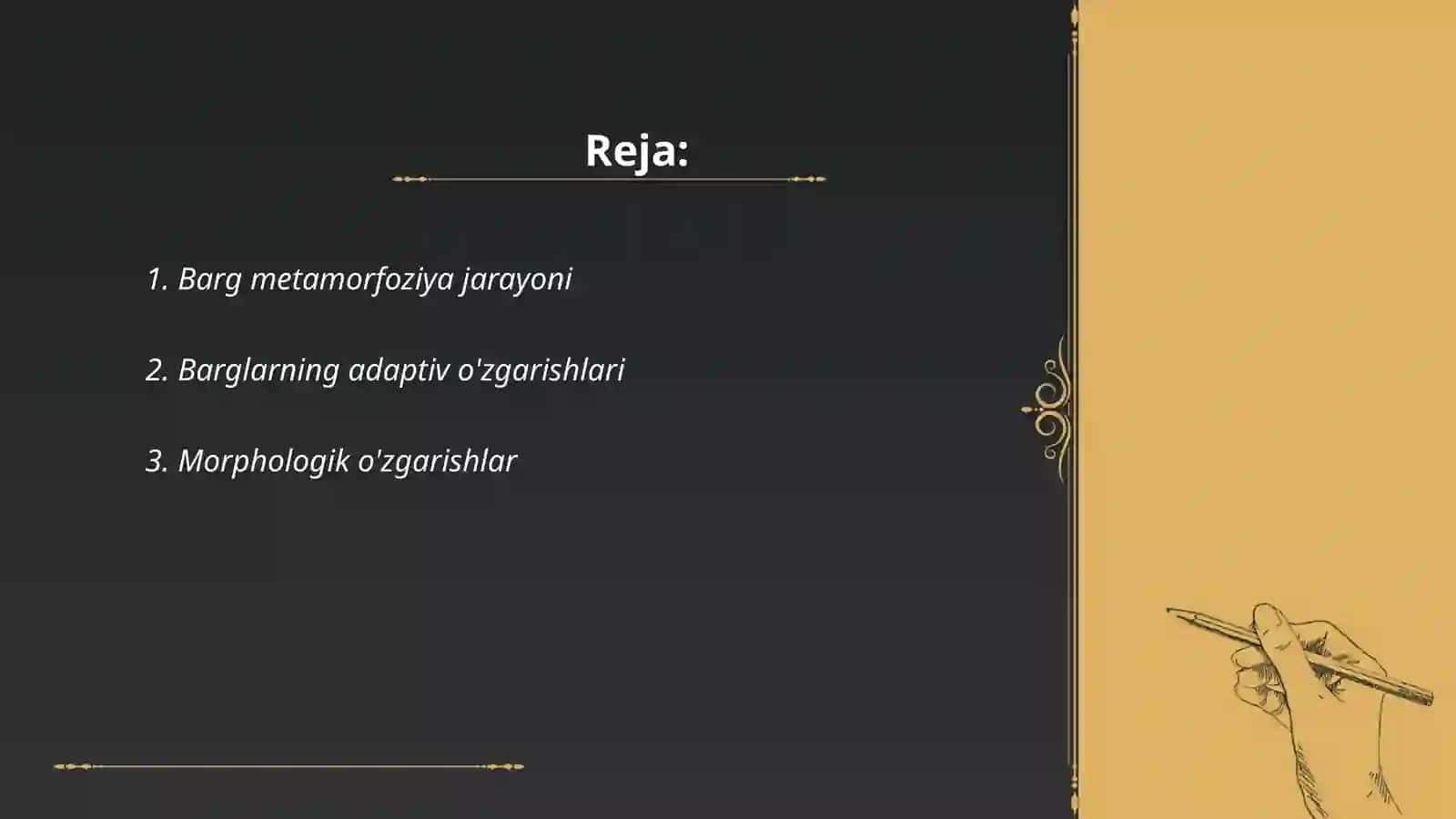 Barg metamorfoziya jarayoni 2