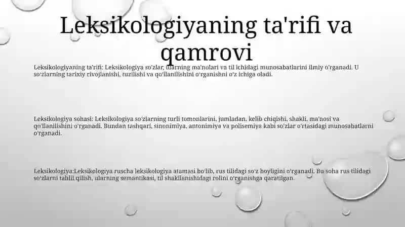Leksikologiya 2