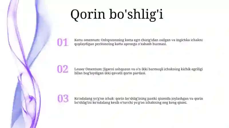 Qorin Parda BoʻShligʻIning Pastki Qavati A'Zolari Topografik Anatomiyasi 2