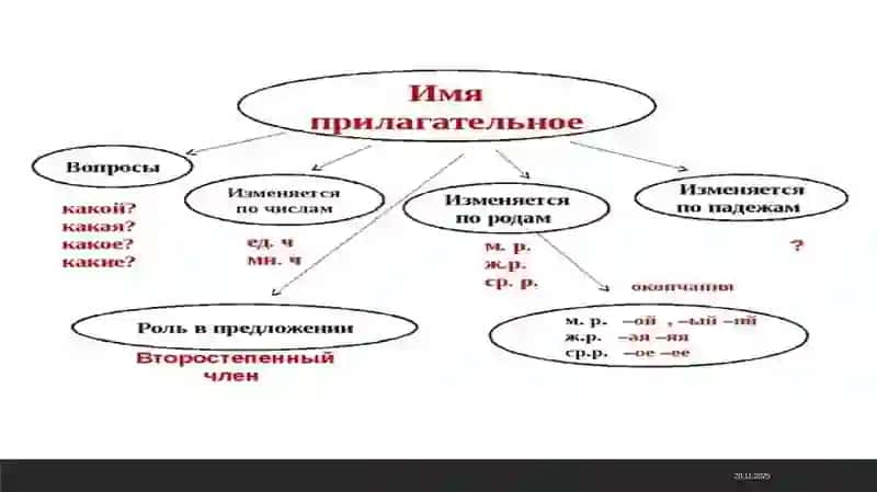 склонение имен прилагателных ppt 2