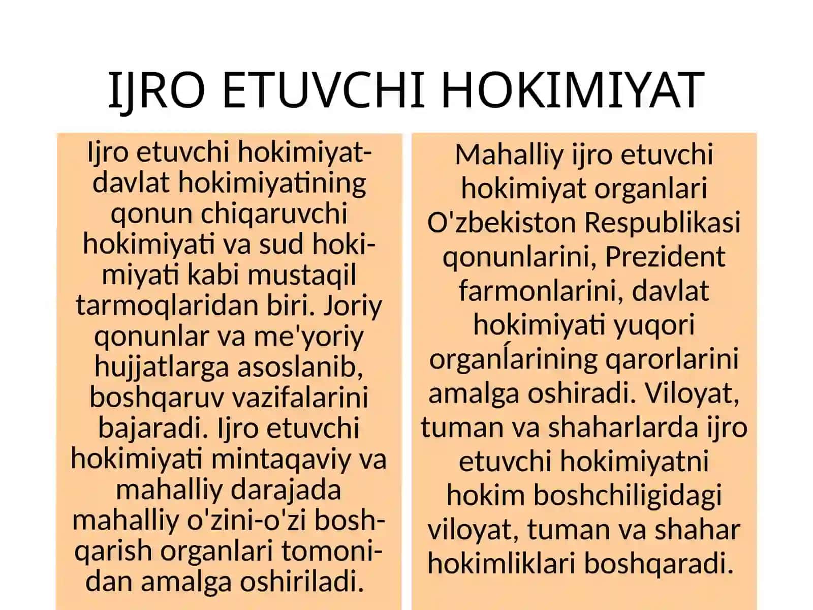 Ijro etuvchi hokimiyat 2