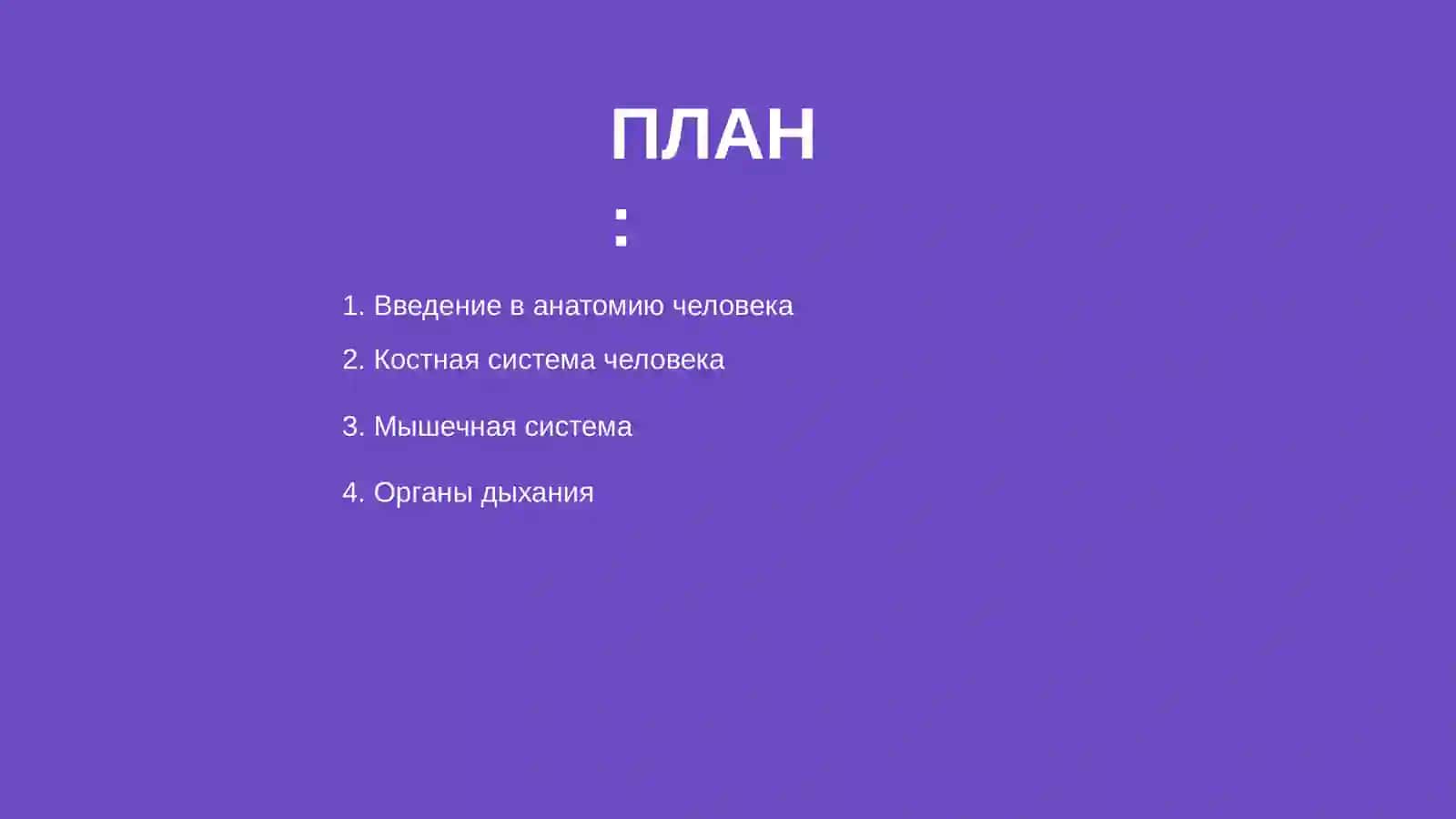 Анатомия человека 2