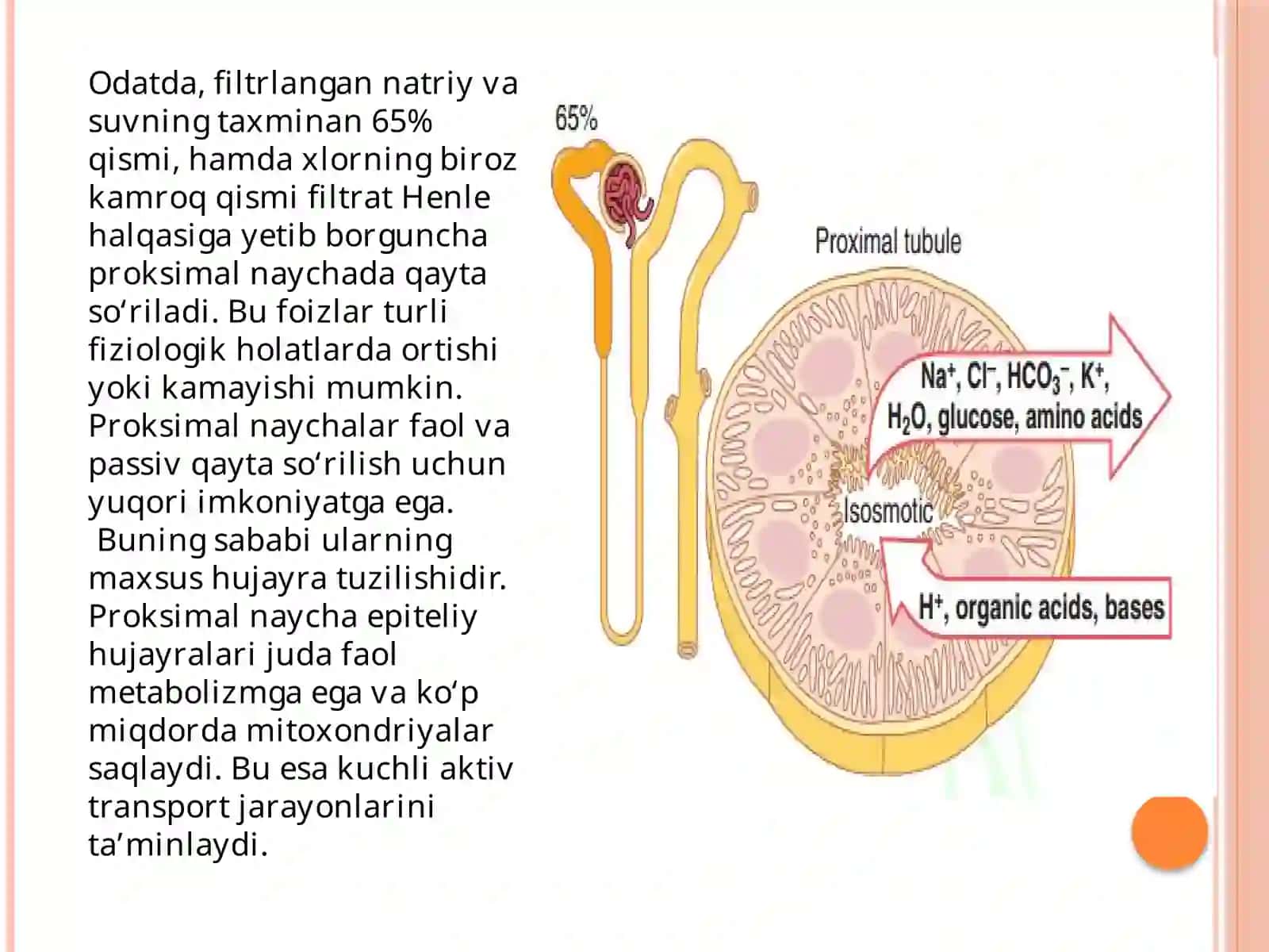 KANALCHALARDAGI REABSORBSIYA 2