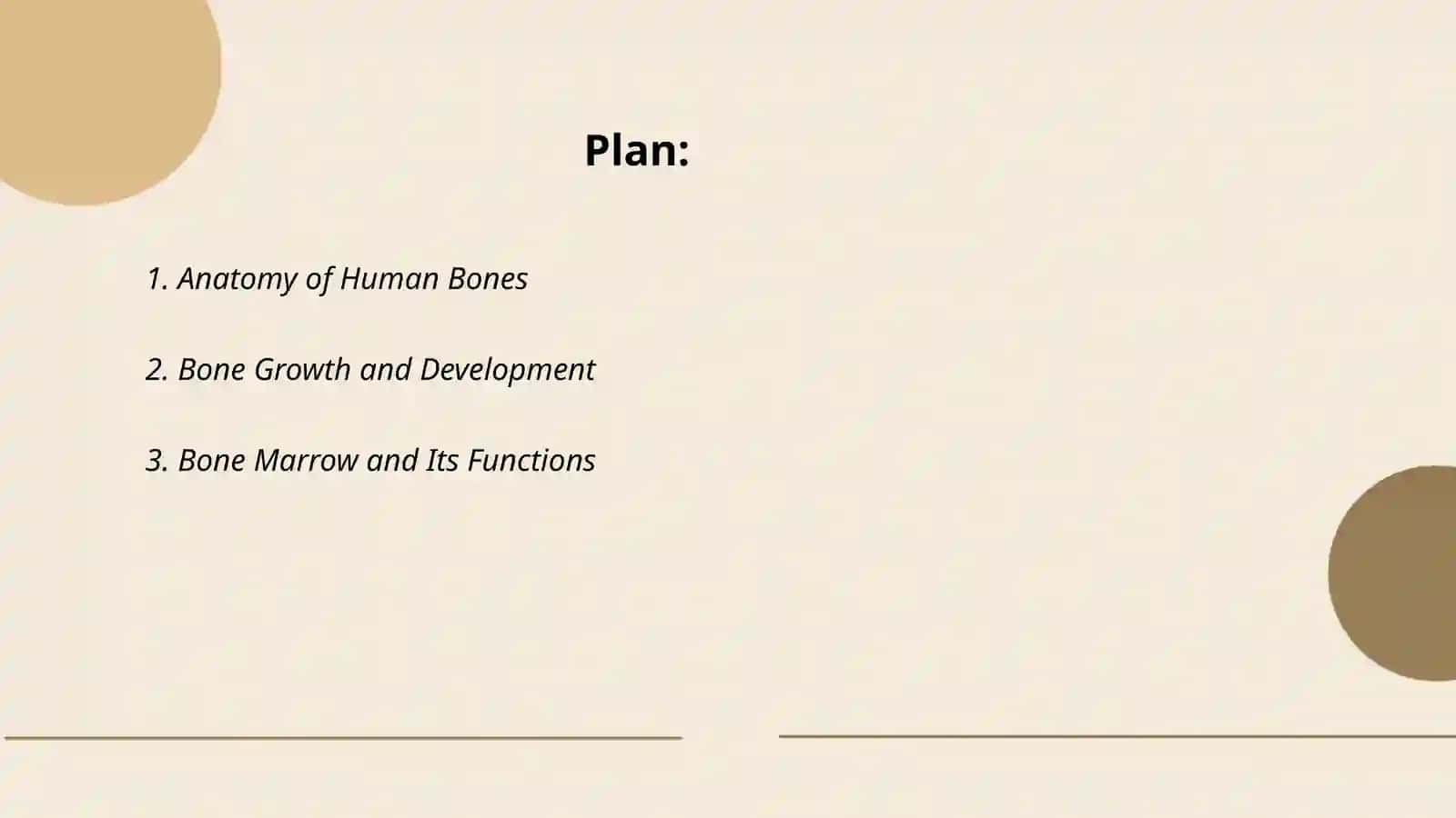 Bones 2