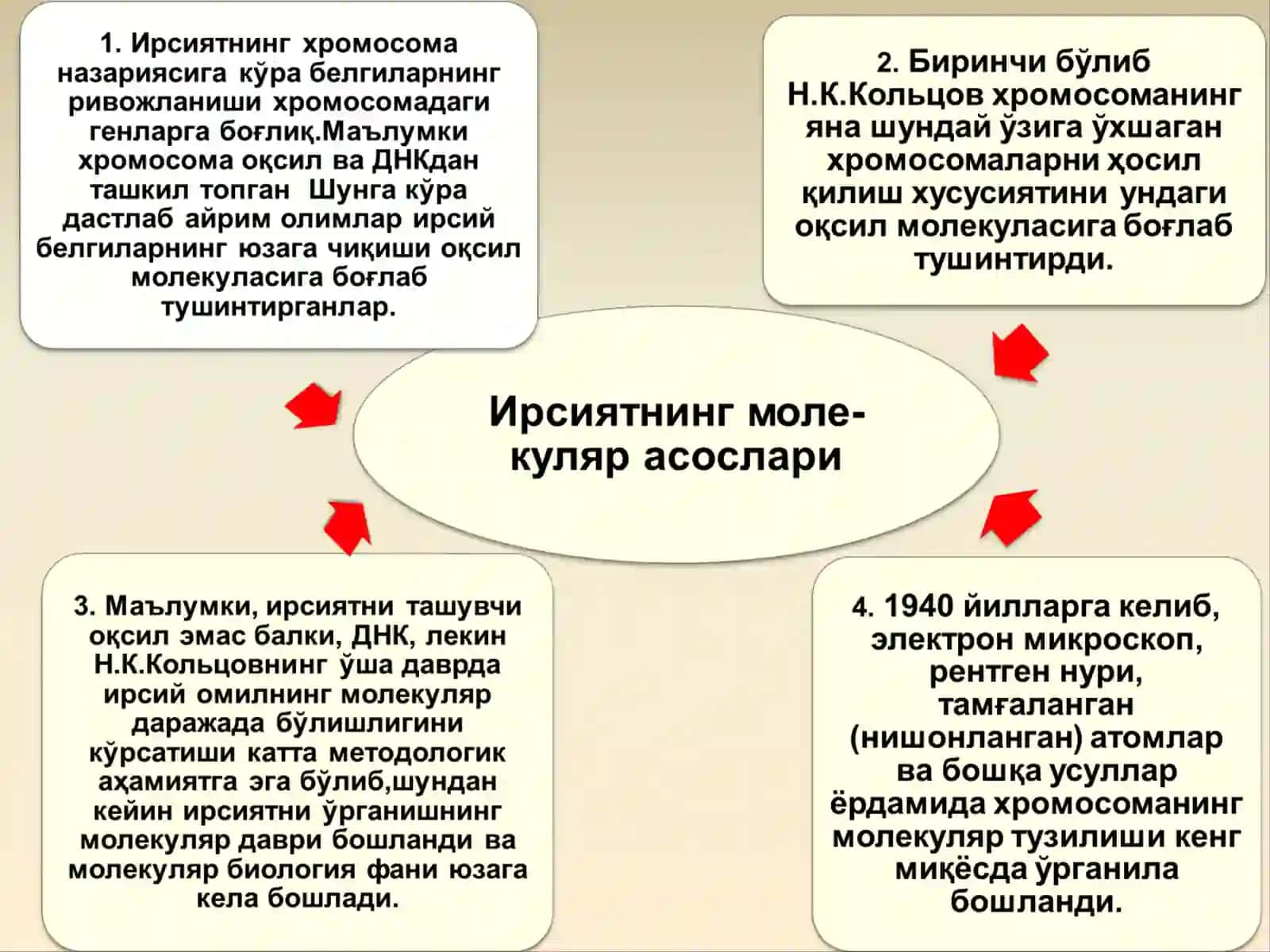 Молекуляр генетика 2