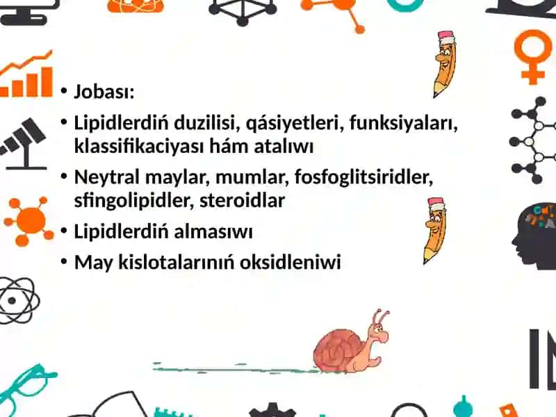 Lipidlerhámolardıńalmasıwı 2