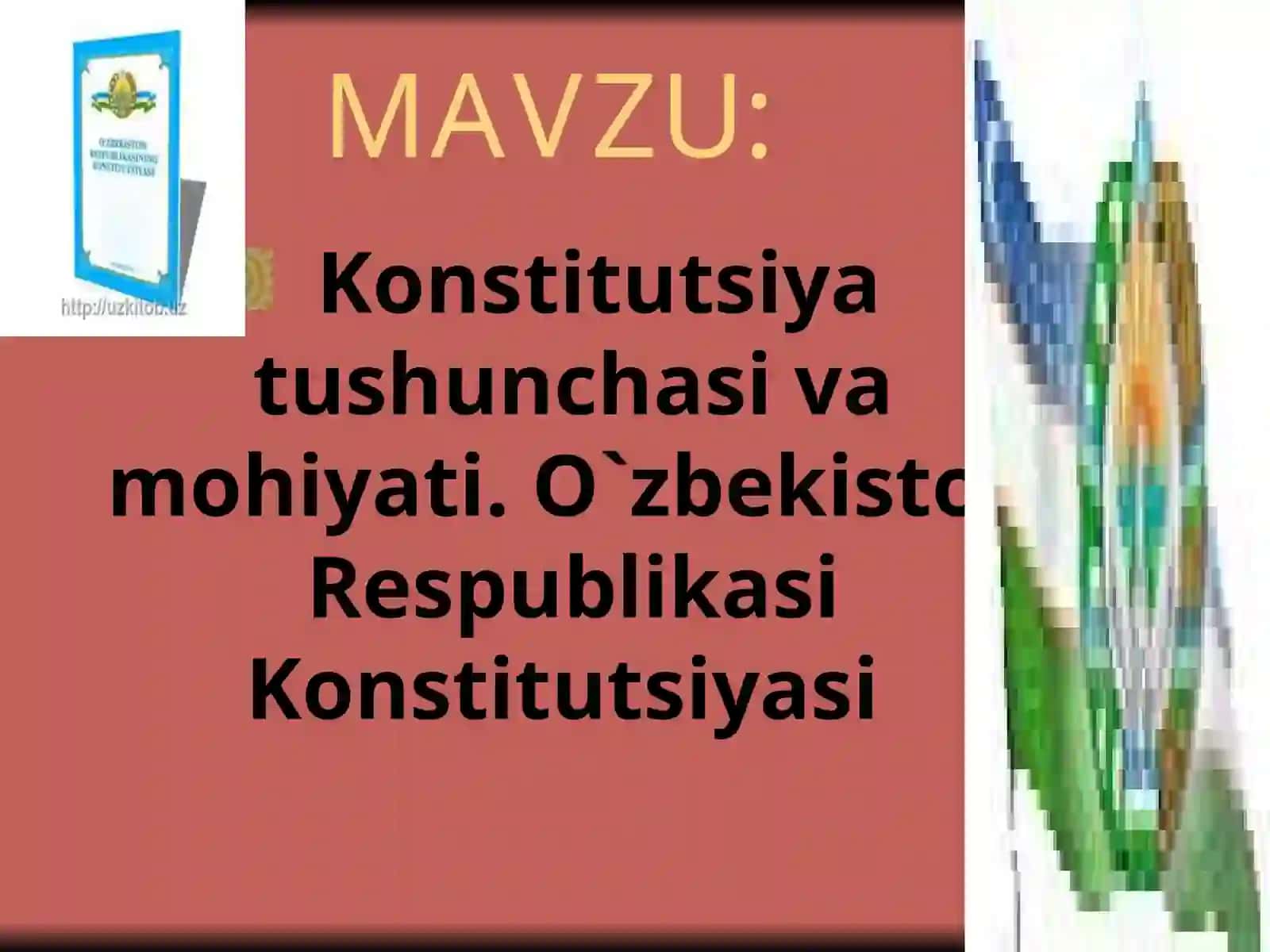 Konstitutsiya tushunchasi va mohiyati 2