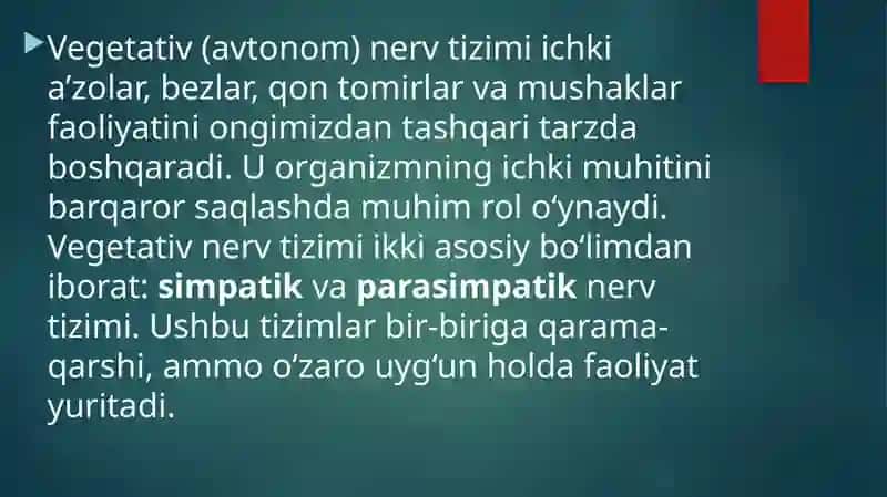 Simpatik va parasimpatik nerv tizimi funksiyalari 2