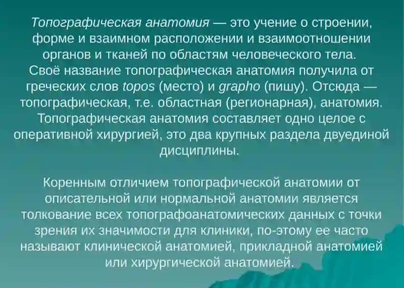Введение в оперативную хирургию и топографическую анатомию 2