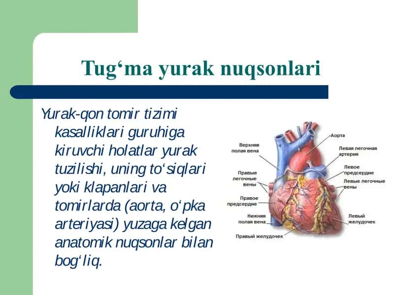 Tug‘ma yurak nuqsonlari 2