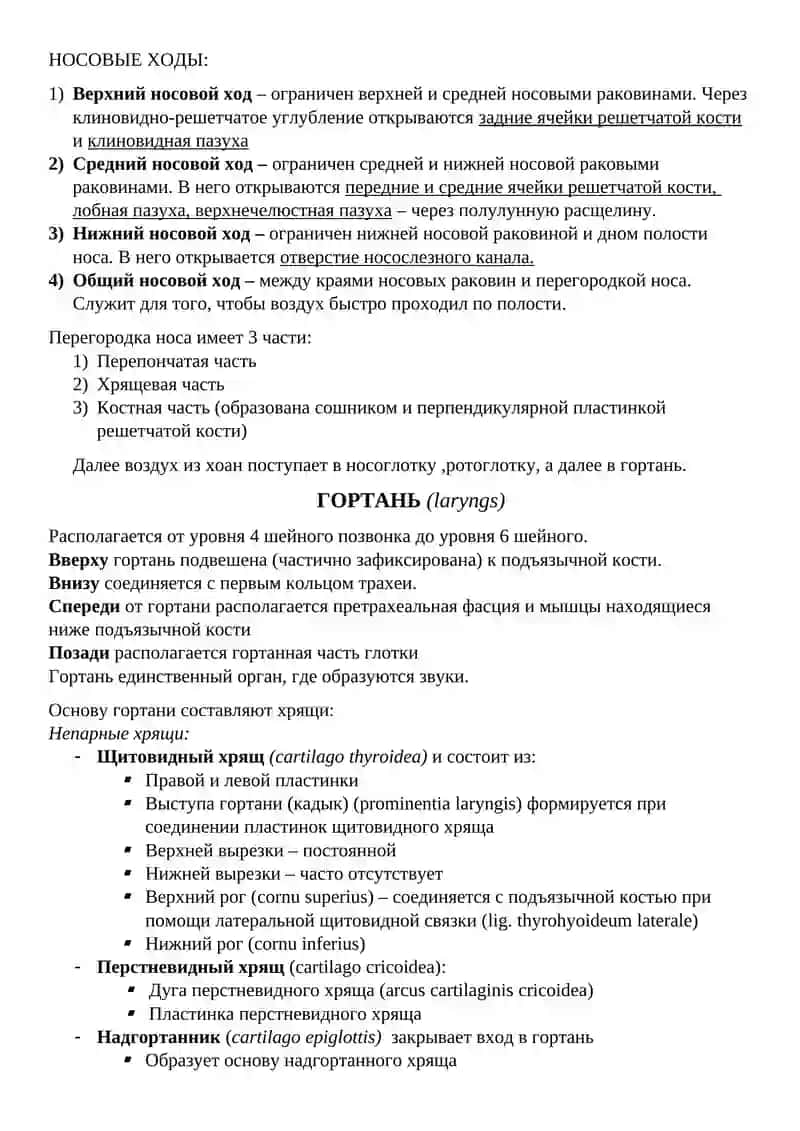 ДЫХАТЕЛЬНАЯ СИСТЕМА 2