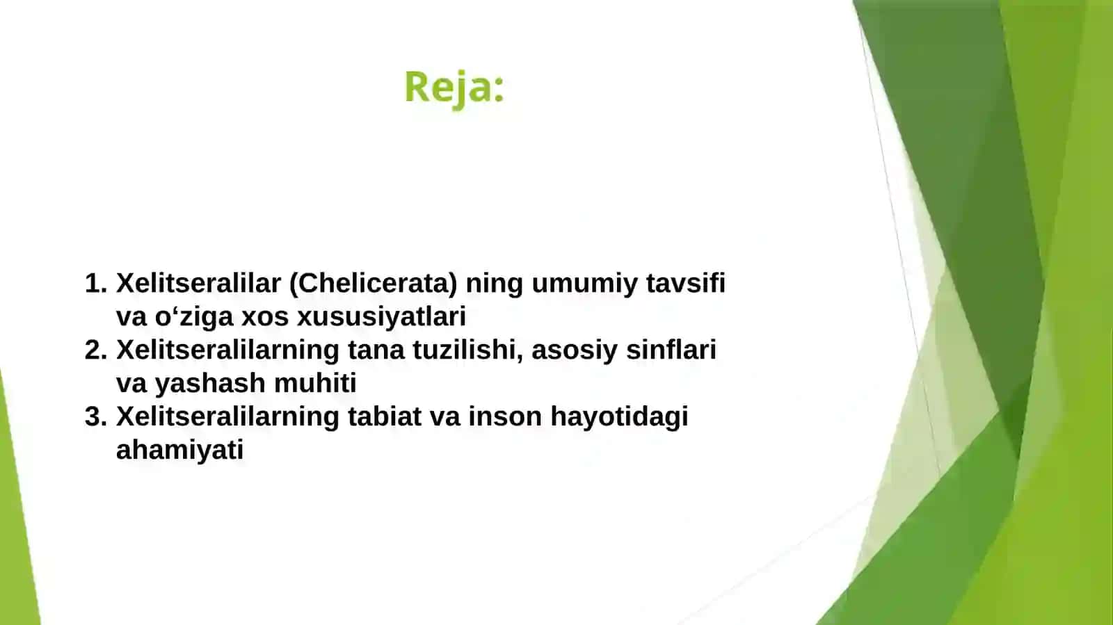 Xelitseralilar (Chelicerata) ning umumiy ta'rifi 2