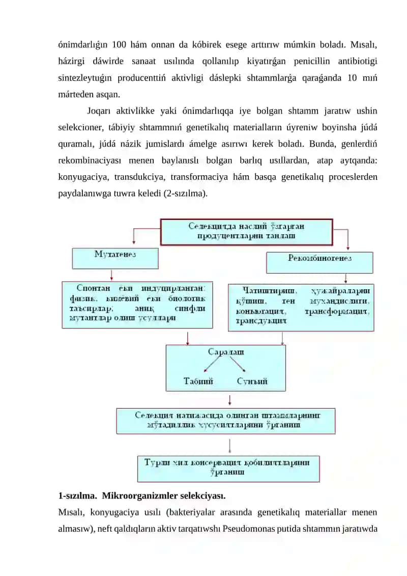 Mikroorganizmler Biotexnologiyasi 2