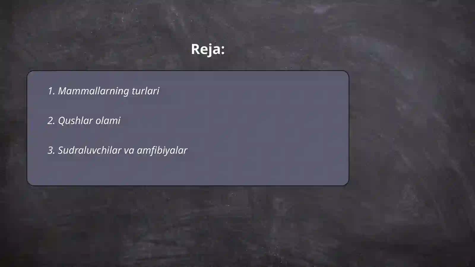 Hayvonot olami 2