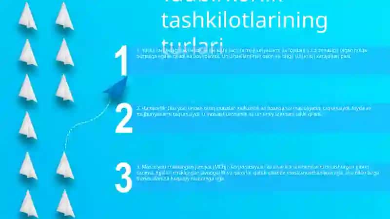 Tadbirkorlik Turlari 2
